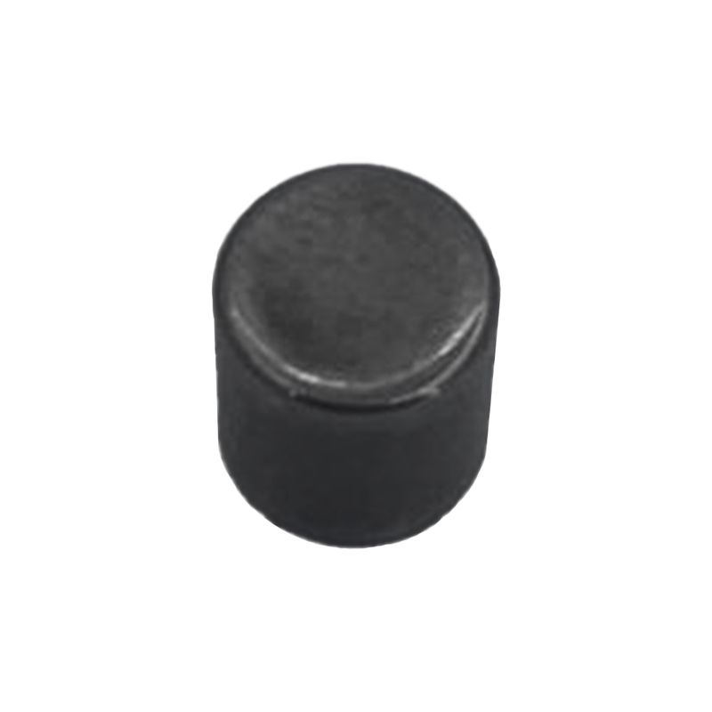 Rolete Cilindrico (1619P07749) - Bosch