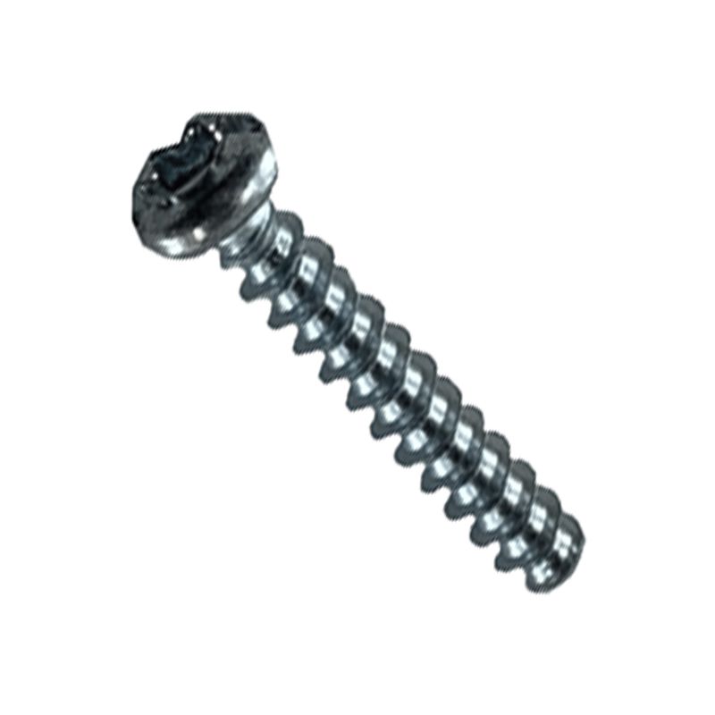 Parafuso Torx Plus (1619P01066) - Bosch