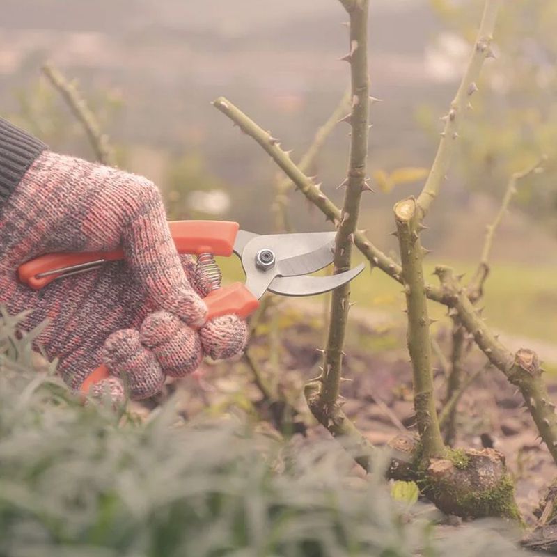 Tesoura de Poda Com Cabo Plástico (78300/001) - Tramontina