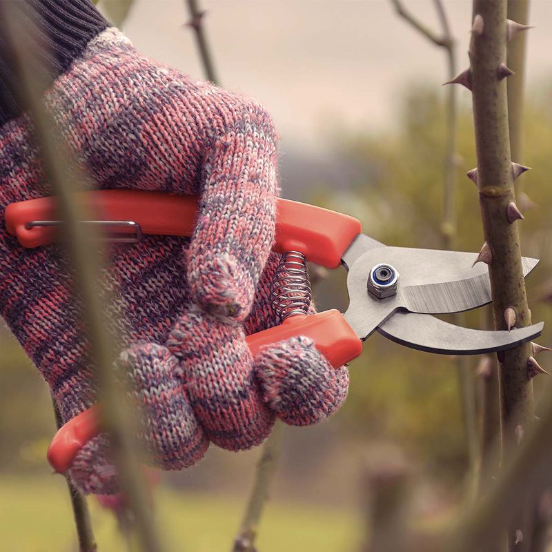 Mola Metálica Cromada Para Tesoura de Poda (78399/023) - Tramontina