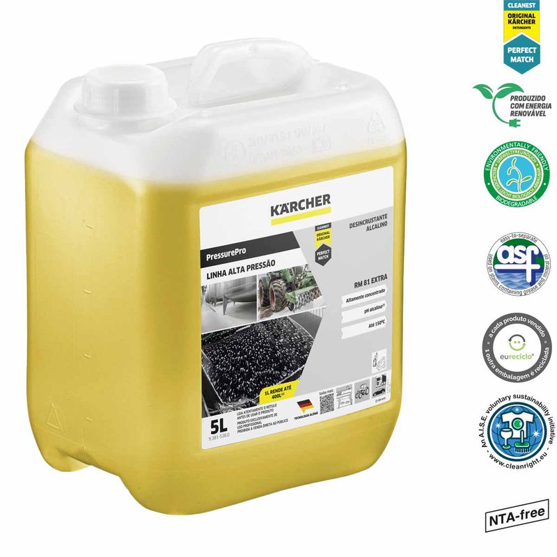 Desincrustante Alcalino Para Limpeza Industrial 5L (9.381.538.0) - Karcher