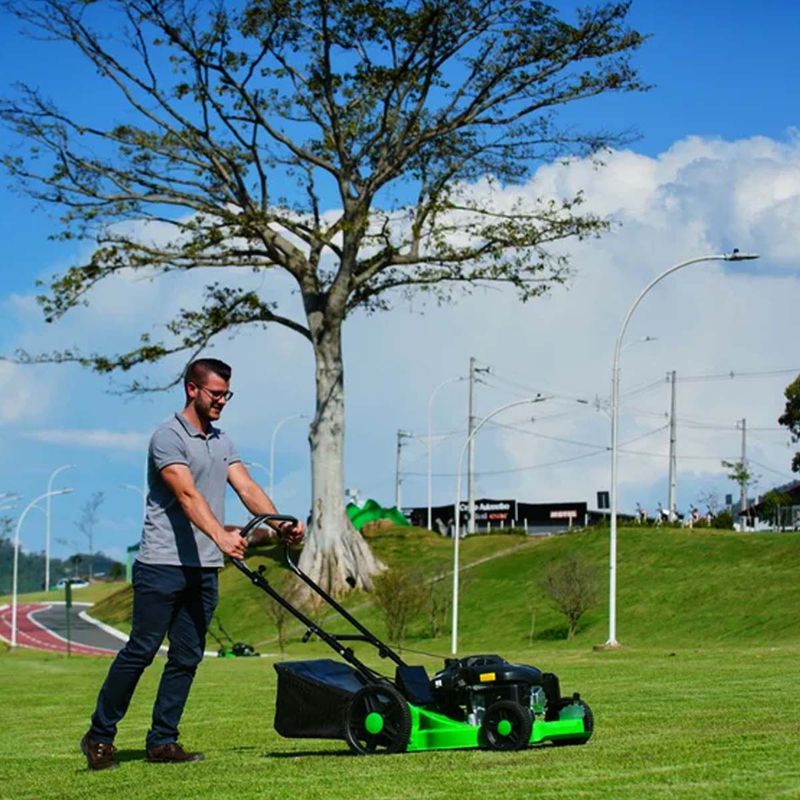 Cortador de Grama a Gasolina Com Recolhedor LF-650RM / 6,5 HP (2931355) - Trapp