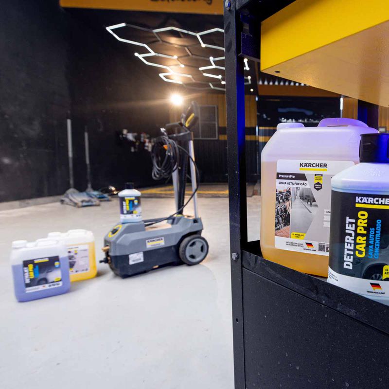 Desincrustante Alcalino Para Limpeza Industrial 20L (9.381.539.0) - Karcher
