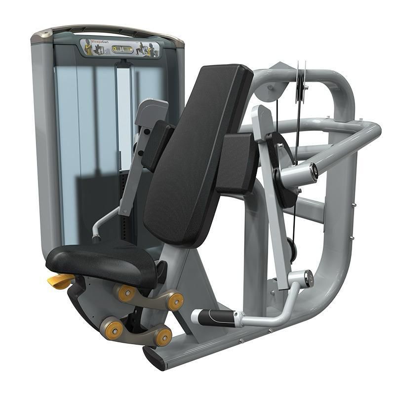 Rosca Bíceps Premium - WTM Fitness