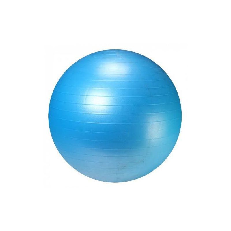 Bola Suíça - WTM Fitness