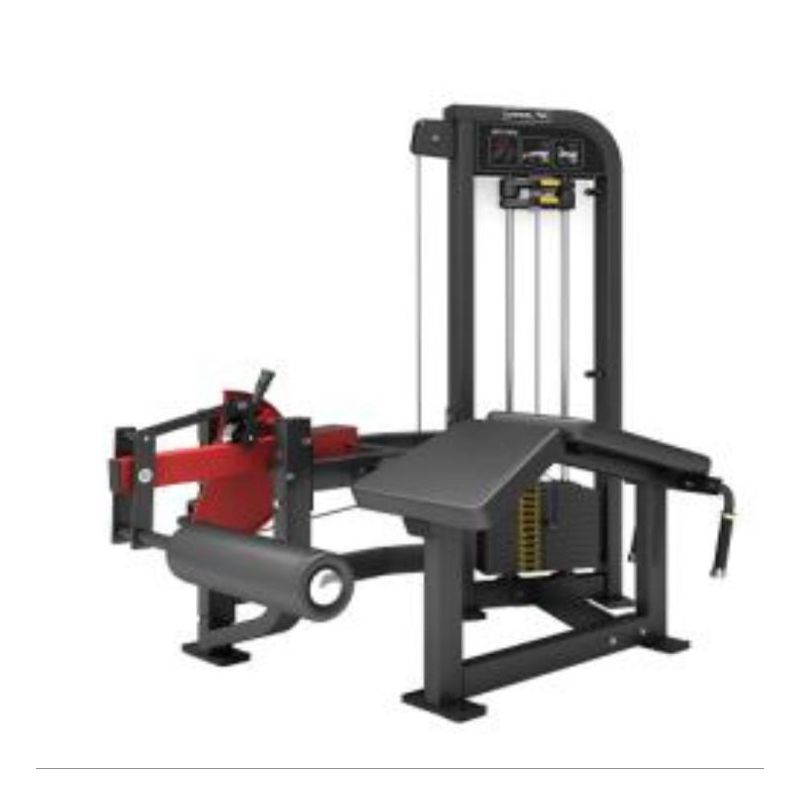Mesa Flexora Infinity - WTM Fitness