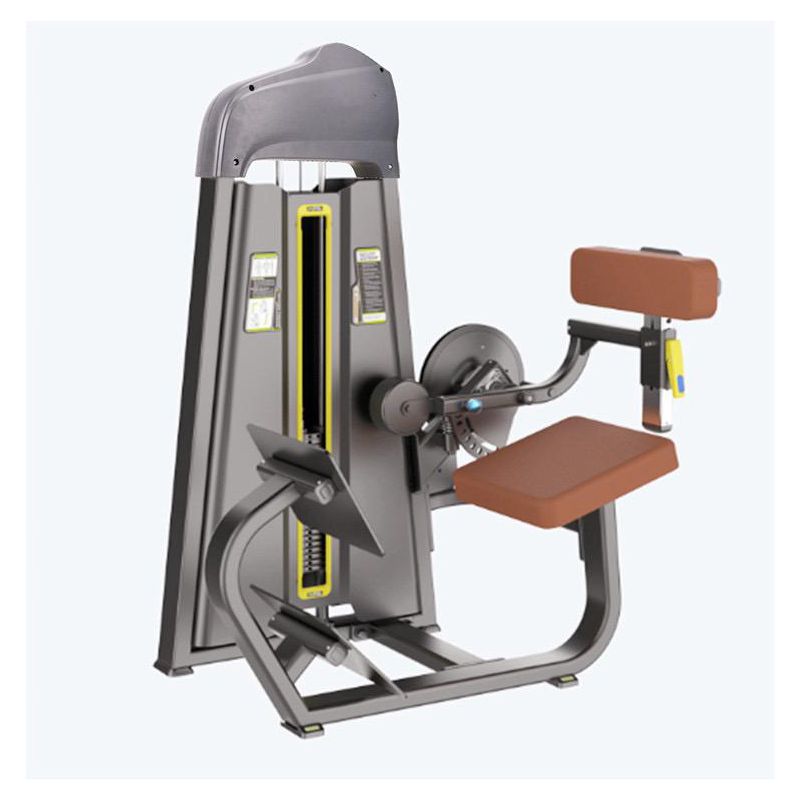 Extensão Lombar Platinum - WTM Fitness