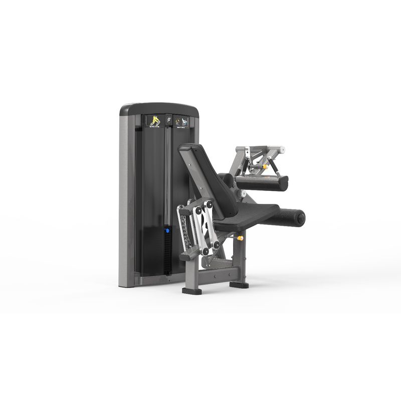 Cadeira Flexora LF - WTM Fitness