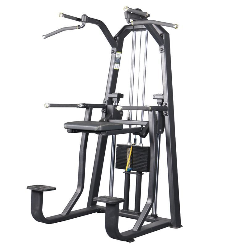 Gráviton (Elevação Assistida ) + Paralela Máquina ... - WTM Fitness