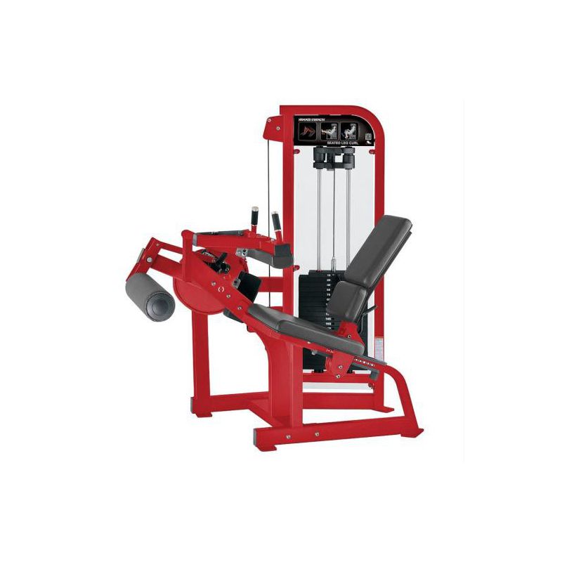 Cadeira Flexora Infinity Prime - WTM Fitness