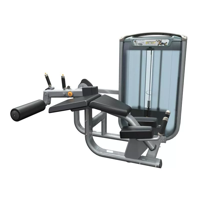 Mesa Flexora Premium - WTM Fitness