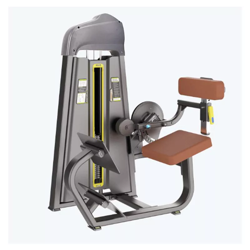 Extensão Lombar Platinum - WTM Fitness
