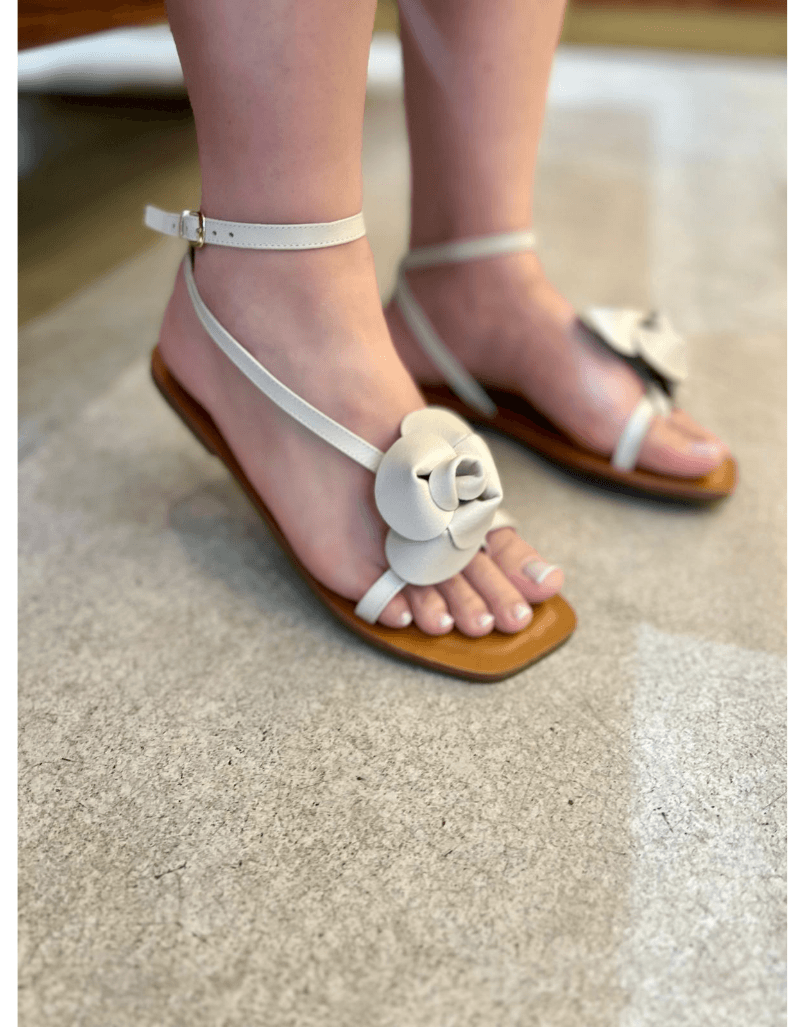 Rasteira July O... - Shine Shoes