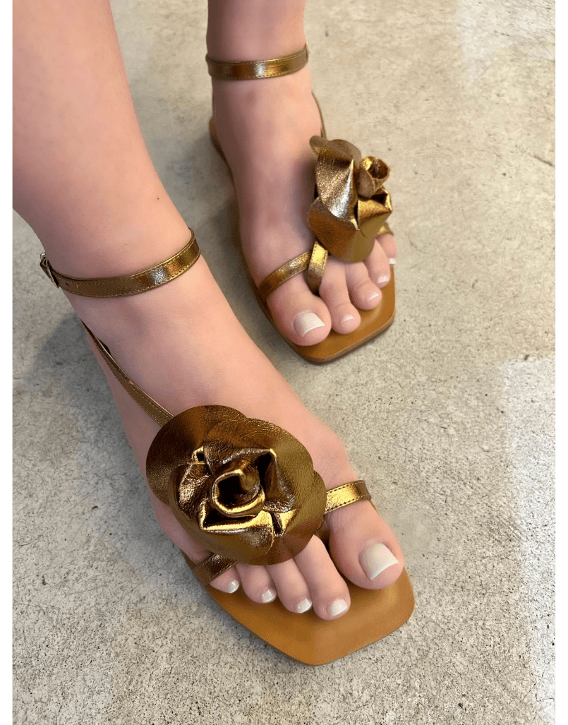 Rasteira July B... - Shine Shoes