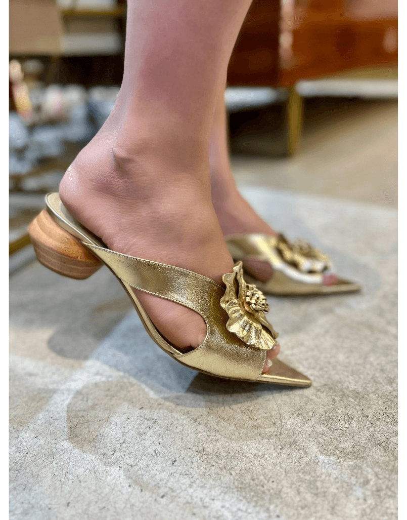 Tamanco Fernand... - Shine Shoes