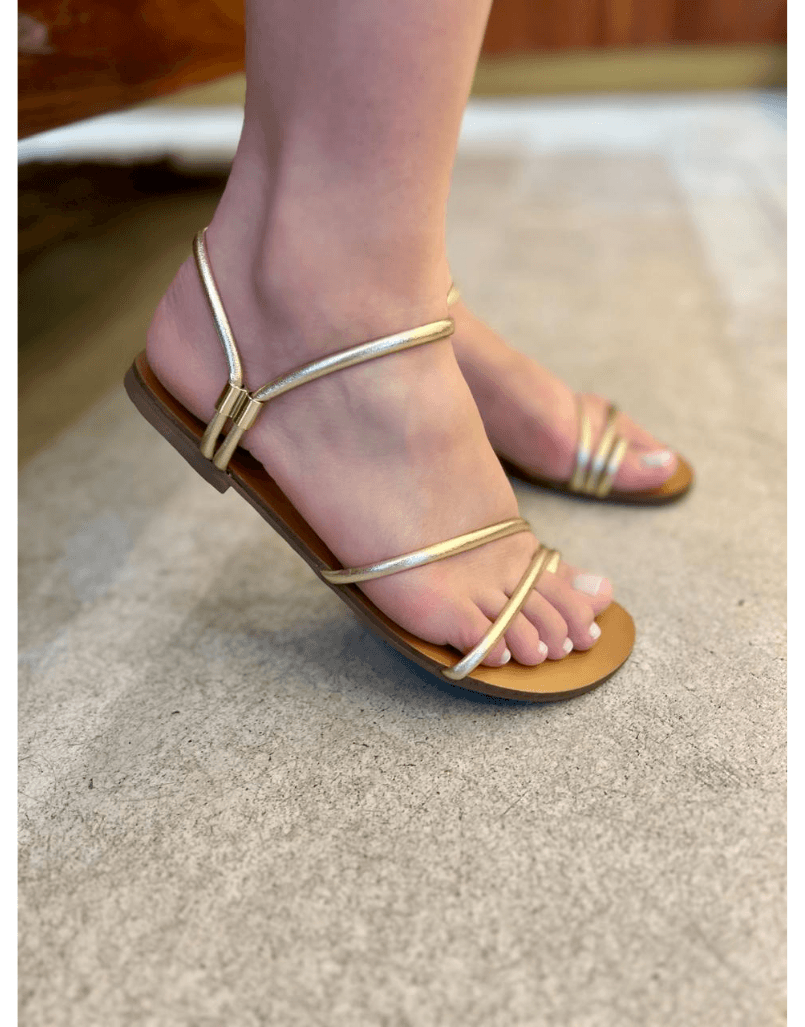 Rasteira Vivian... - Shine Shoes