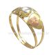 Anel de Ouro 18k/750 AN79