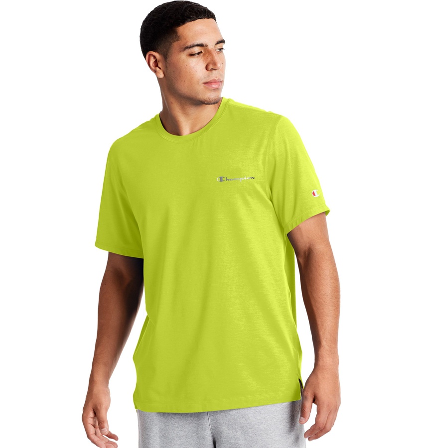 camiseta champion mini