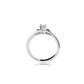 Anel De Ouro Branco 18k Cat Com Zircônia