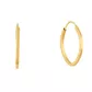Brinco De Ouro 18k Argola Oval Plus G