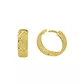 Brinco De Ouro 18k Hope