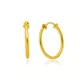 Brinco Infantil De Ouro 18k Argola fio redondo