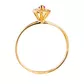 Anel De Formatura De Ouro 18k Tailândia - Feminino