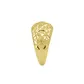 Anel de Ouro 18k Estrelado