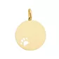 Pingente De Ouro 18k Placa com Patinha