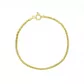 Pulseira De Ouro 18k Palmeira