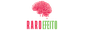 Raro Efeito Midia
