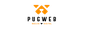 PUG WEB