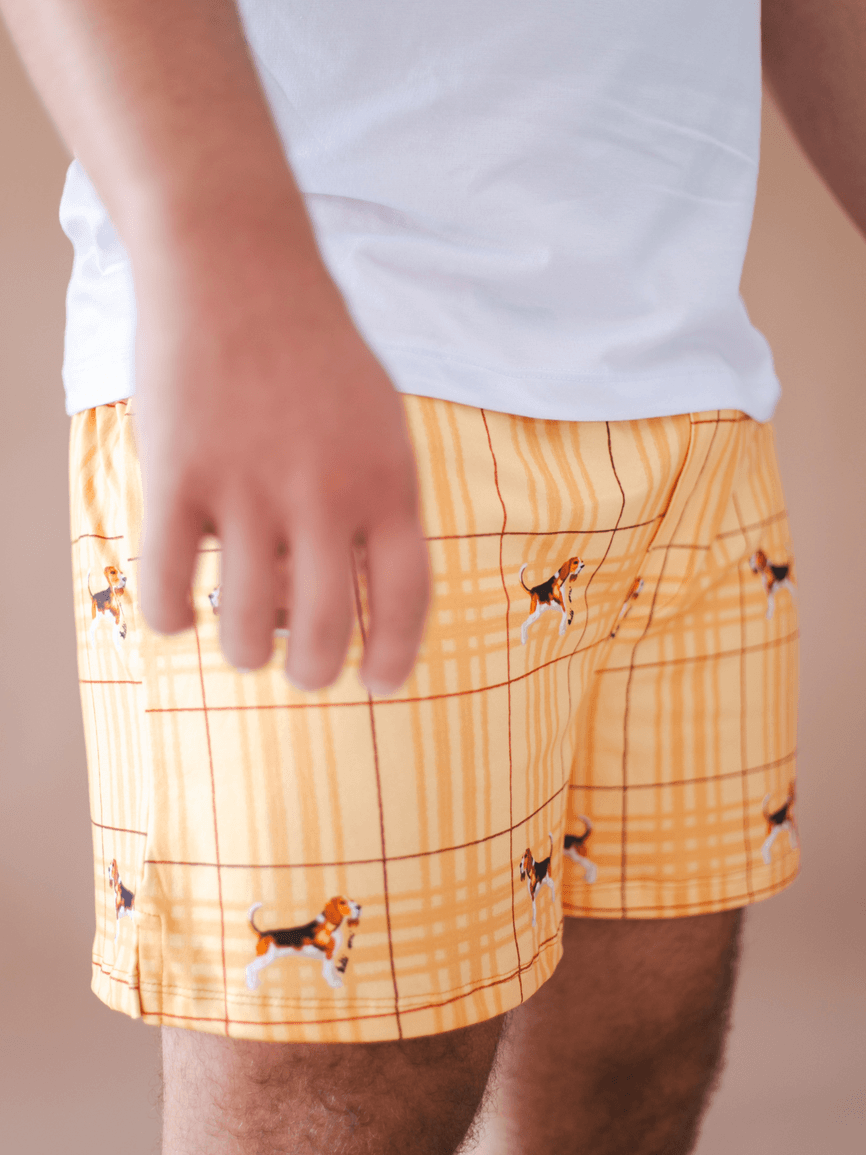 Pijama Masculino Curto Beagle Amarelo - TUTTI AMI