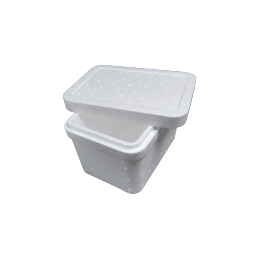 CAIXA ISOPOR 22x14x10 2000 G - PCTE 10 UNID - 5933... - Só Embalagens & Descartáveis