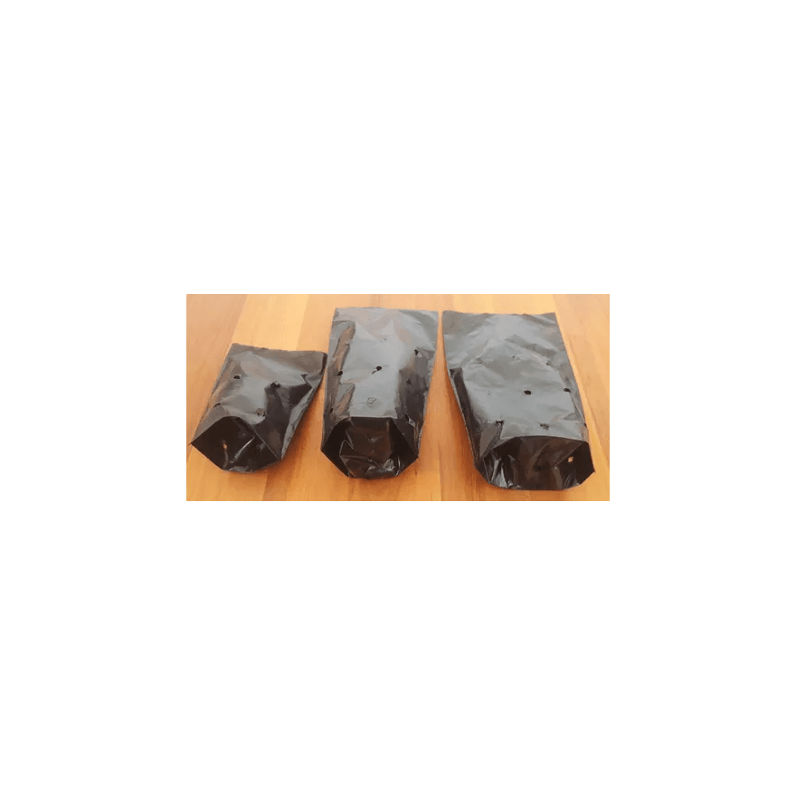 SACO PLASTICO MUDAS 15x25x08 - PCTE 1 KG (+- 300 U... - Só Embalagens & Descartáveis