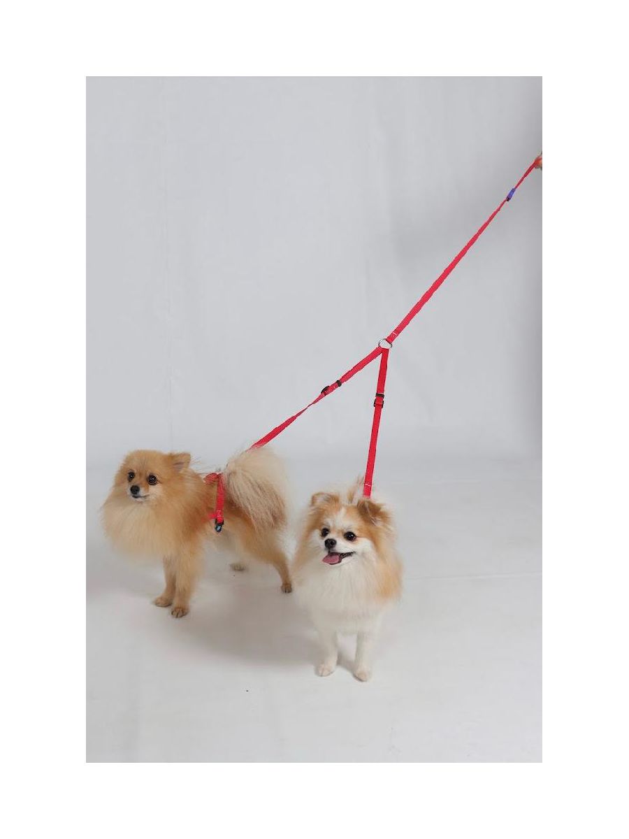 Guia Dupla Para Passear Com Dois Cachorros Bicolor