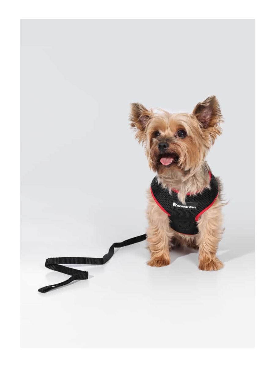 Colete Com Guia Para Cachorro Bicolor