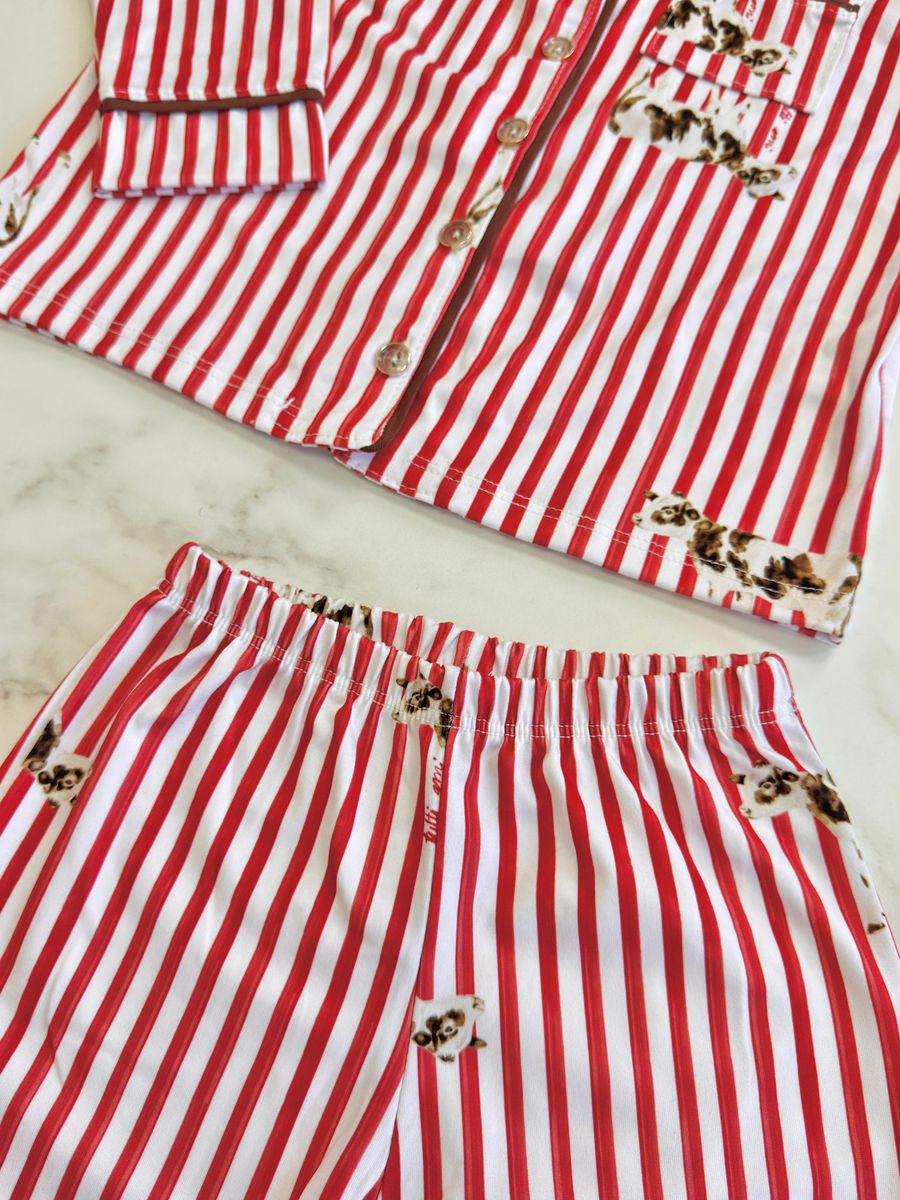 Pijama Infantil Americano Longo Listrado Vacas