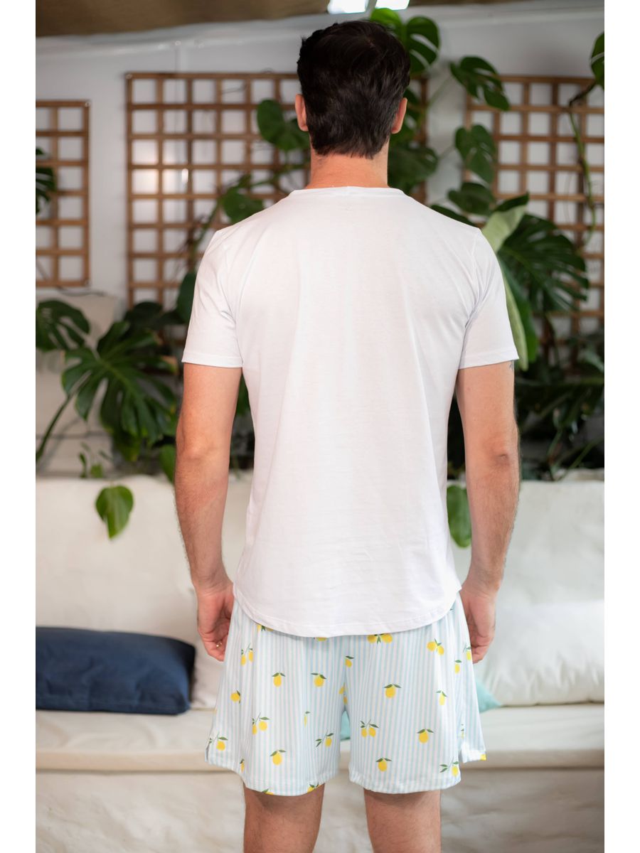 Pijama Masculino Curto Listrado Limão