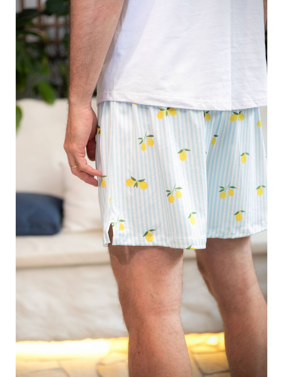 Pijama Masculino Curto Listrado Limão