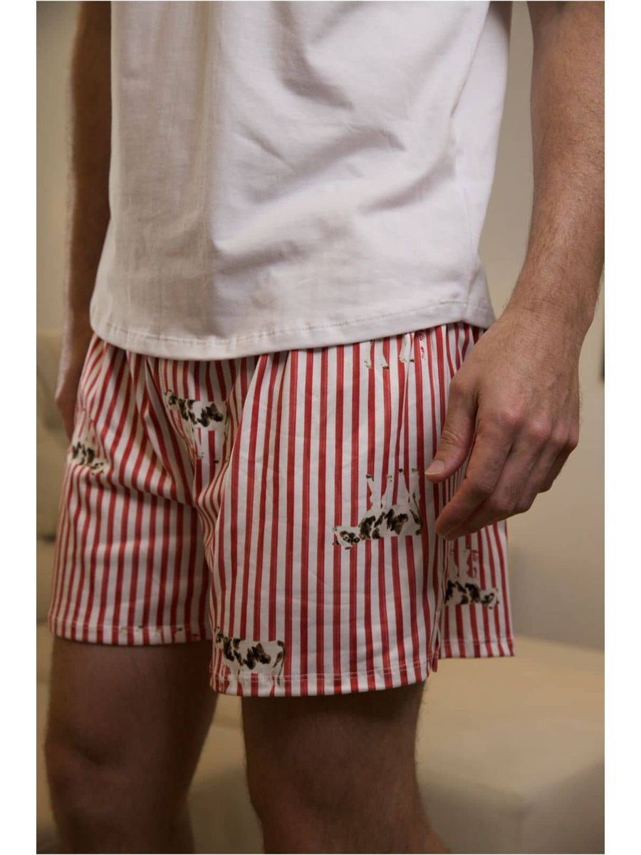 Pijama Masculino Curto Listrado Vacas