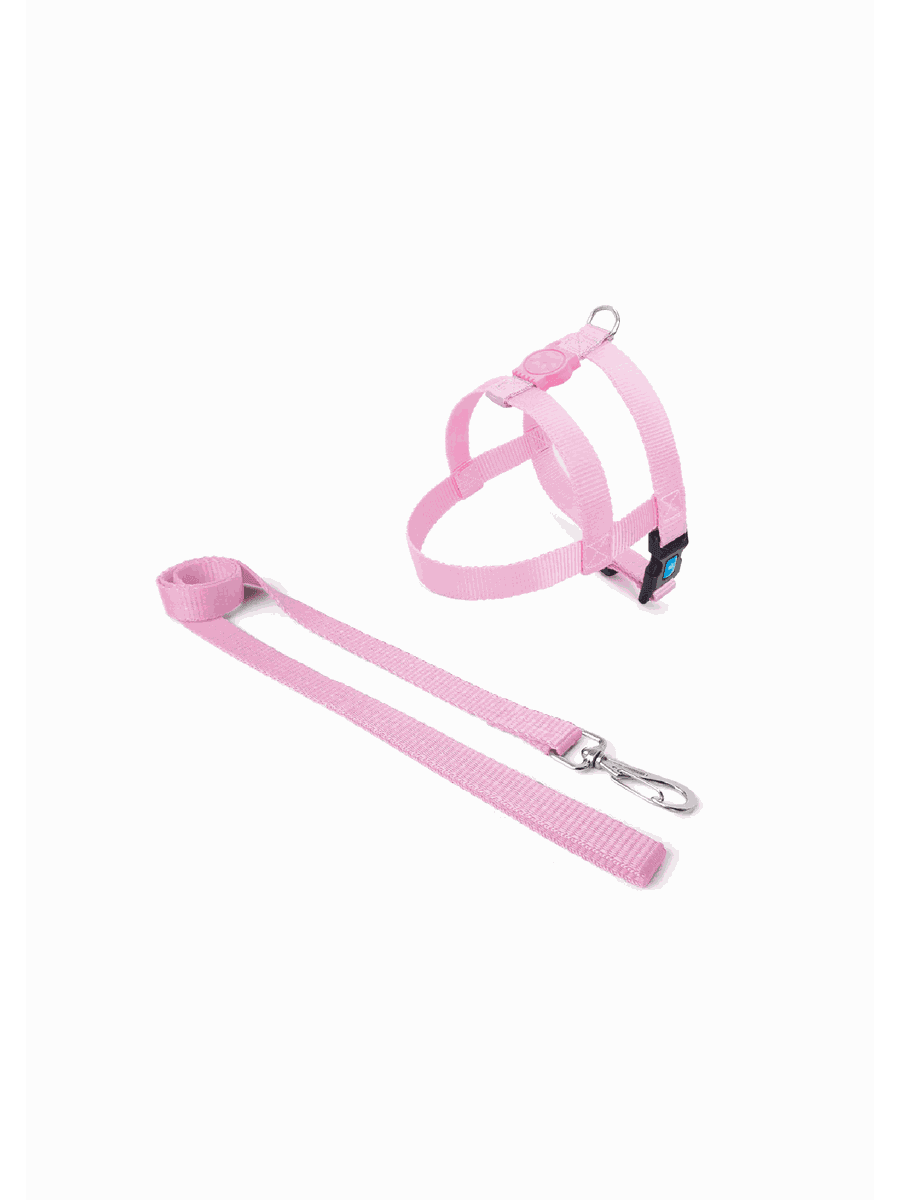 Peitoral Com Guia Para Porte Medio E Grande Bicolor
