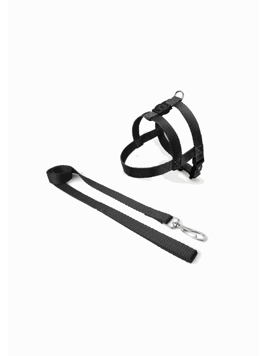 Peitoral Com Guia Para Porte Medio E Grande Bicolor