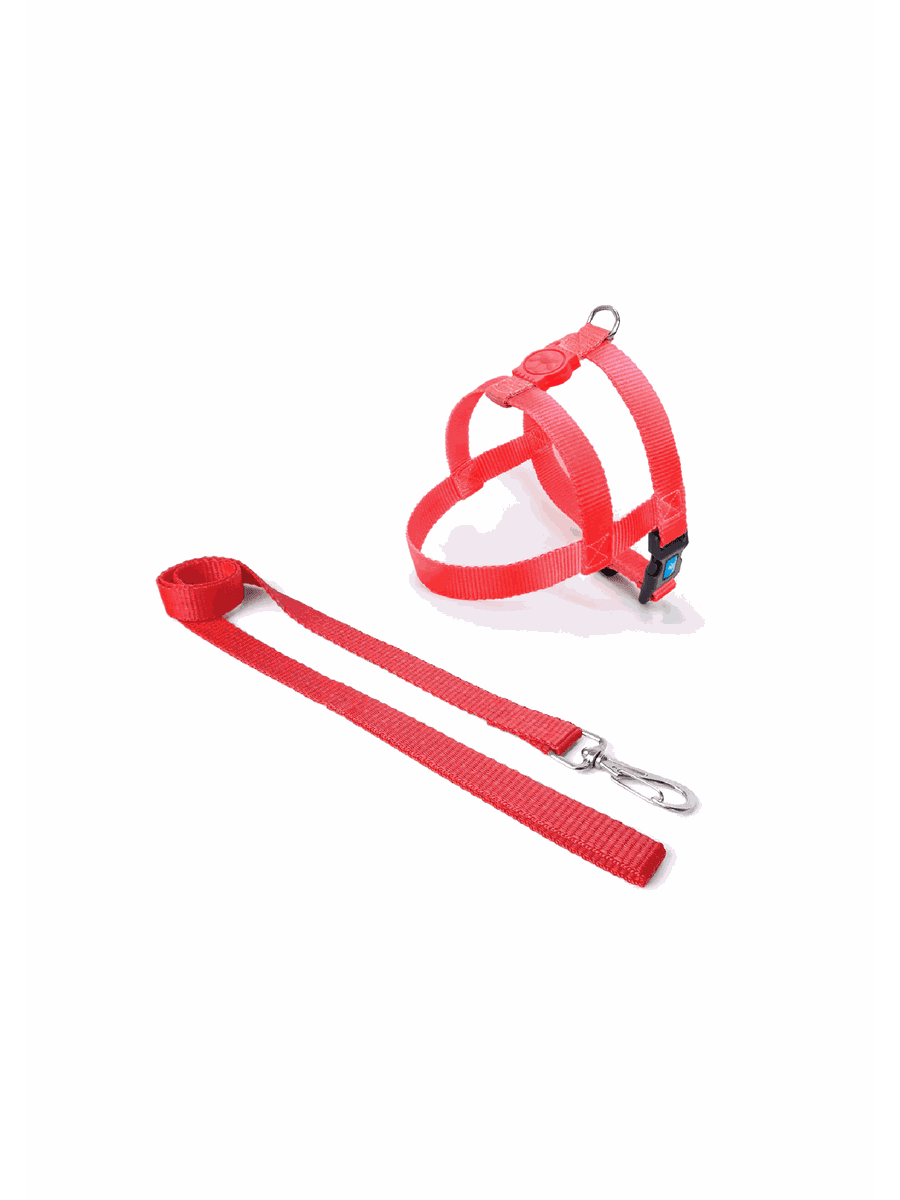 Peitoral Com Guia Para Porte Medio E Grande Bicolor