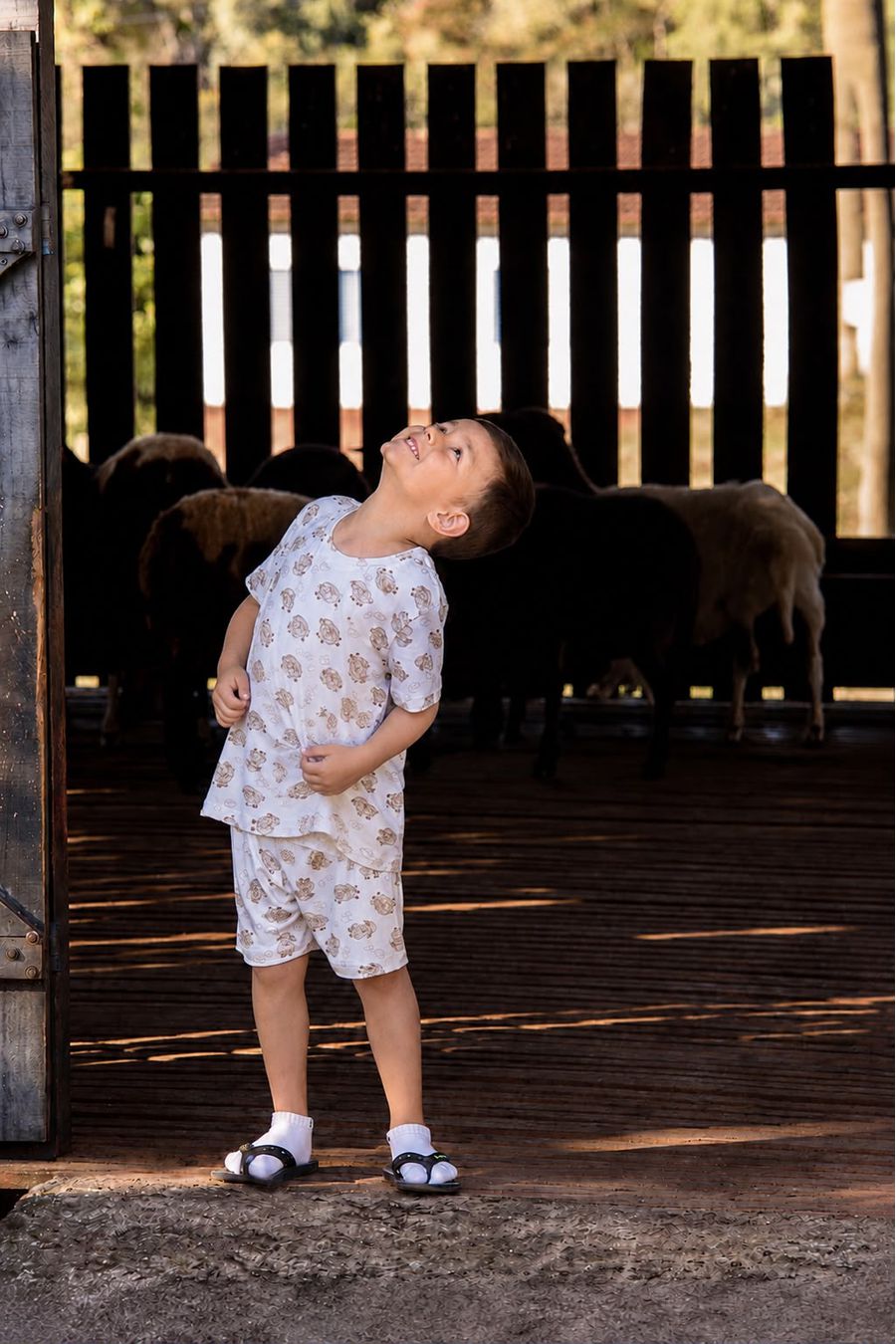PIJAMA INFANTIL MASCULINO BERMUDA OVELHA - 232 OVELHA - Innova Dama