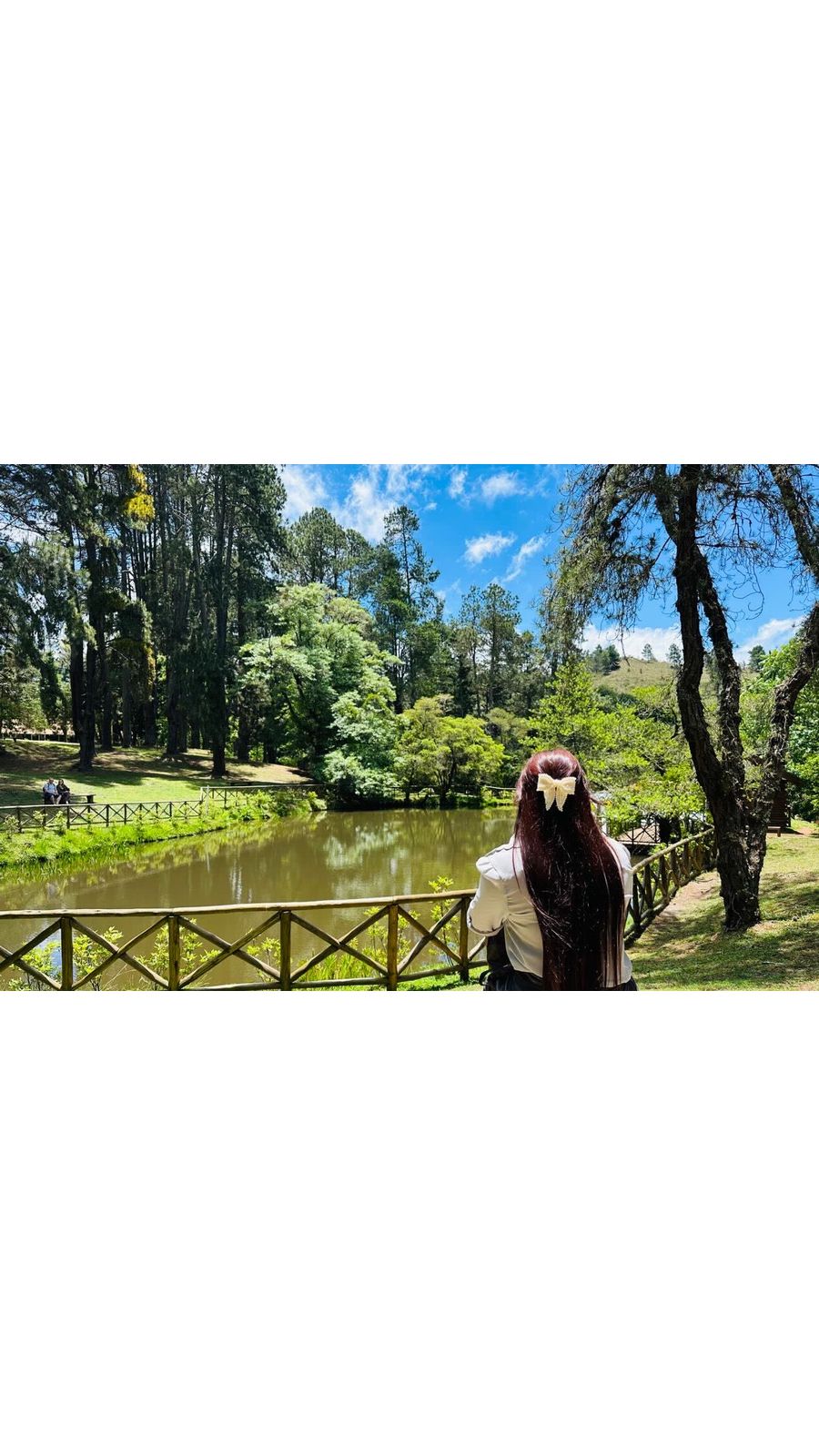 Laço Eva Pérola