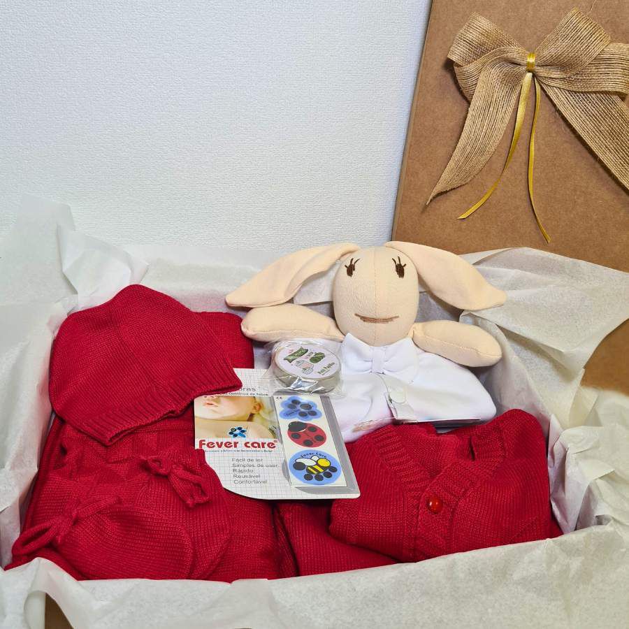 Gift Box Saída Maternidade - Petit Papillon Bebê & Criança