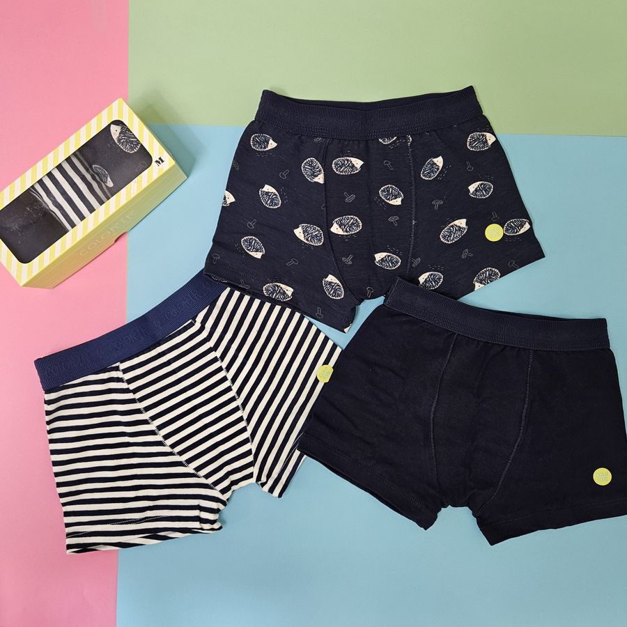 Kit com 3 Cuequinhas Boxer Porco Espinho Marinho - Petit Papillon Bebê & Criança