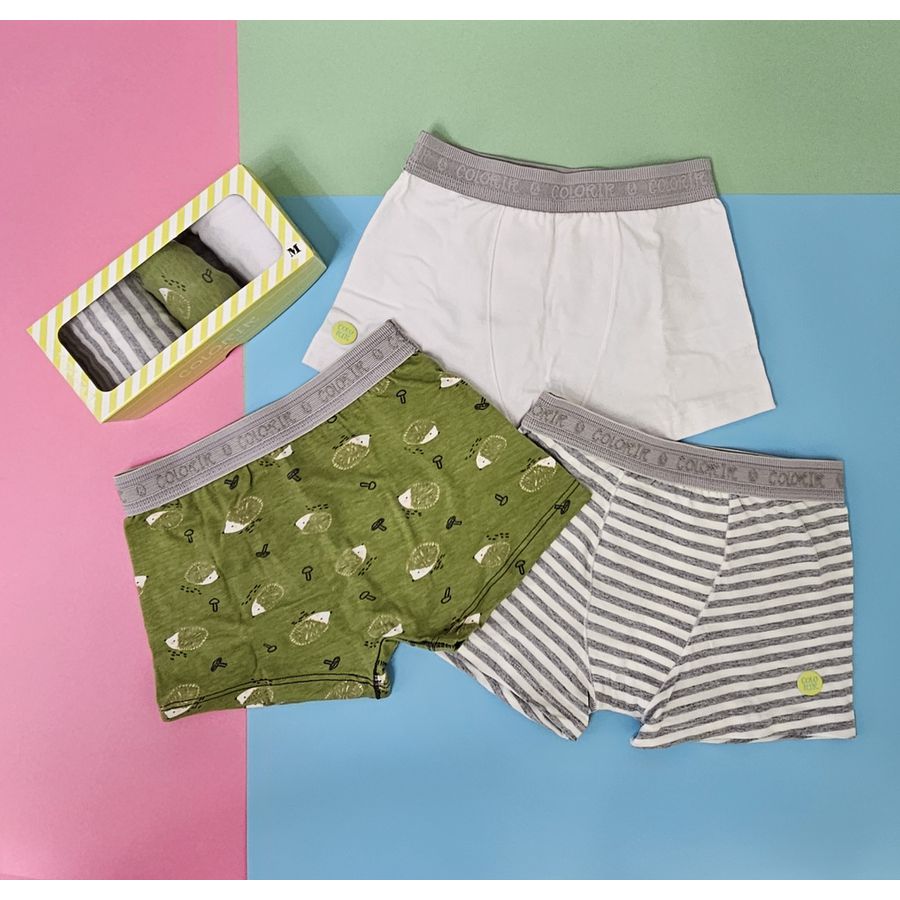 Kit com 3 Cuequinhas Boxer Porco Espinho Verde - Petit Papillon Bebê & Criança