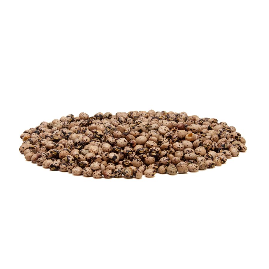 Semente Feijão guandu fava larga